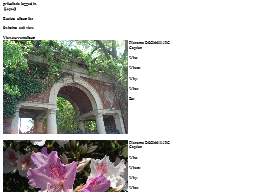photos